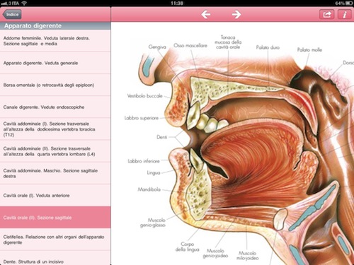 Atlante di Anatomia per iPad: la recensione