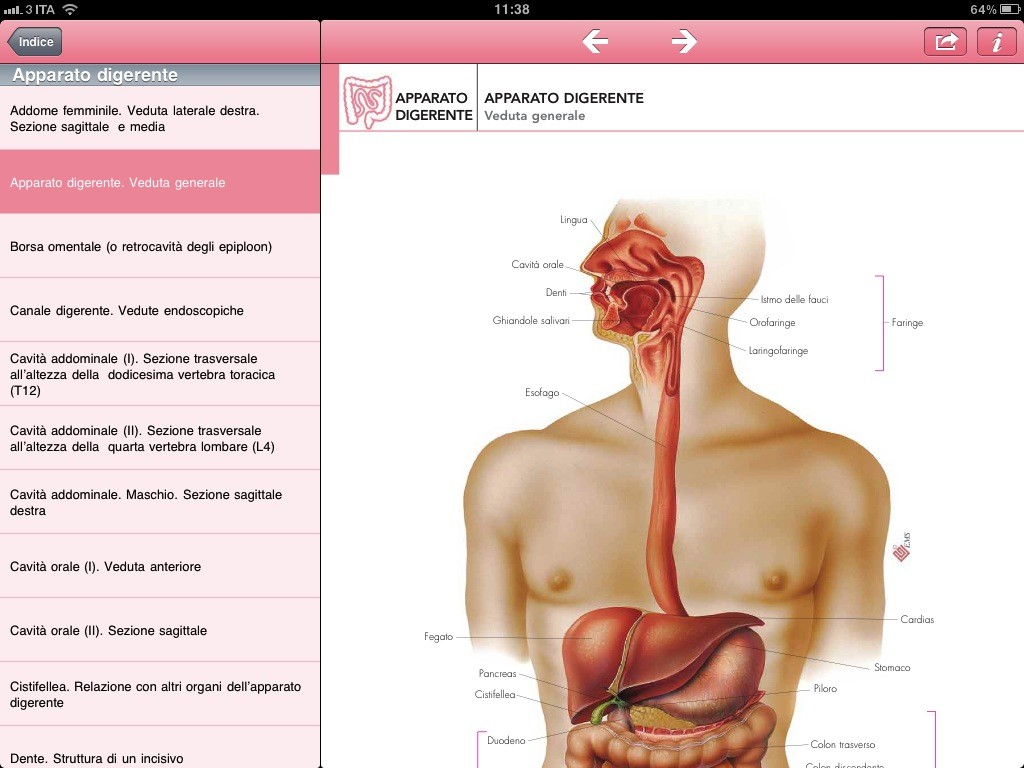 Atlante di Anatomia per iPad: la recensione